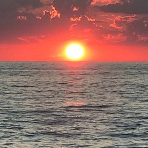 Meet your Posher, Dan